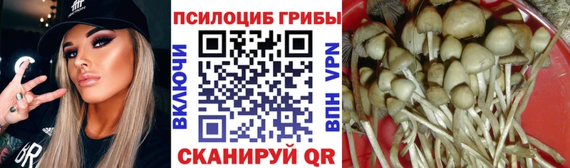 Галлюциногенные грибы прущие грибы  Сердобск 