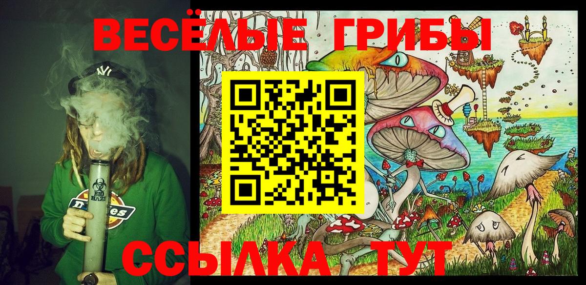 Псилоцибиновые грибы Cubensis  Вход с VPN  даркнет сайт  Сердобск 