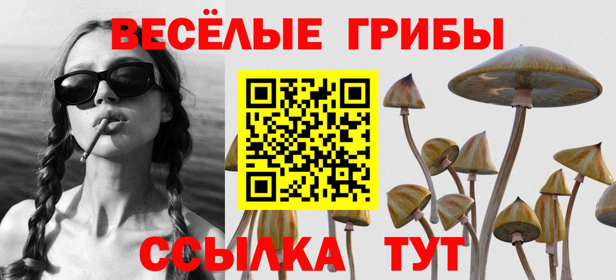 Псилоцибиновые грибы Magic Shrooms Сердобск